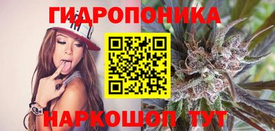 PSILOCYBIN Чапаевск